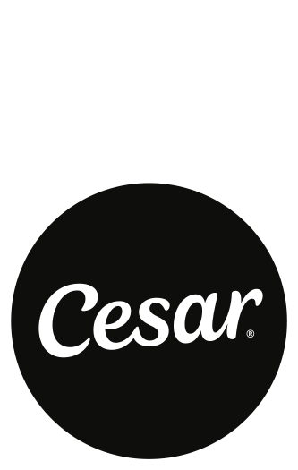 Cesar Logo