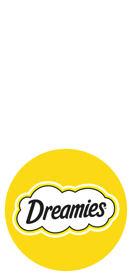 Dremies Logo