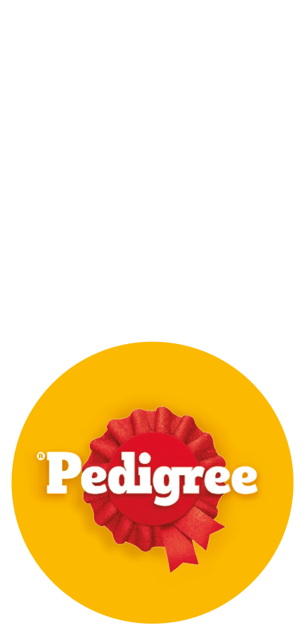 Dremies Logo